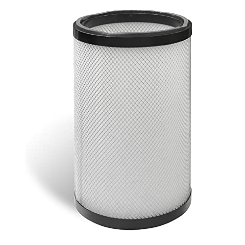 Robuschi Luftfiltereinsatz für Schraubengebläse für Robox WS Frame 2, 12 Monate Garantie in 1-Box von Robuschi