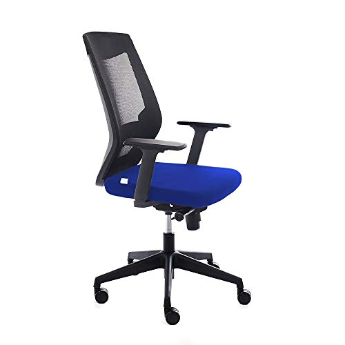 Rocada | Ergonomischer Bürostuhl mit Lendenwirbelverstellung und Armlehnen | Ergonomischer Computer-Schreibtischstuhl, bequem und drehbar. Schwarz - Blau von Rocada