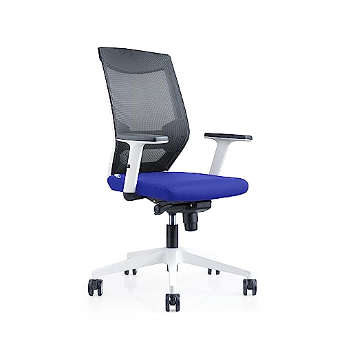 Rocada | Ergonomischer Bürostuhl mit lendenwirbelstütze | Schreibtischstuhl mit Armlehnen | Ergonomischer Computerstuhl | Büro Stuhl Höhenverstellbar und mit Rollen - Weiß – Blau von Rocada