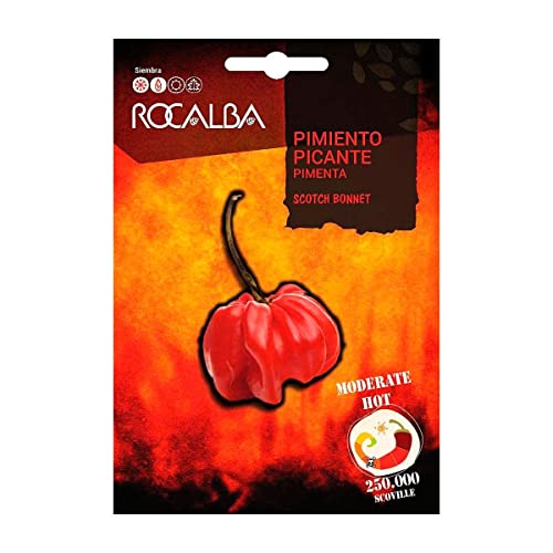 Samen Picante Scotch Bonnet Rocalba von ROCALBA