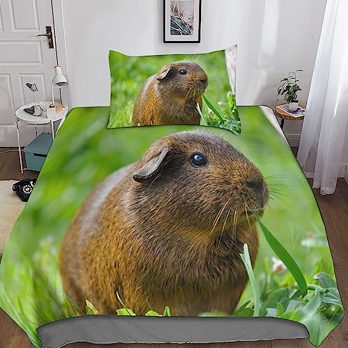 Rochile Meerschweinchen Bettwäsche Set Bettbezug Set Atmungsaktive Mikrofaser Bettwäsche Für Schlafzimmer, Weiche Bequemer Single（135x200cm） von Rochile