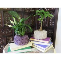 Crystal Point Pflanzenhalter - Wählen Sie Amethyst Oder Kristallquarz Topf Amazing Home Decor | Rk6A von RockParadise