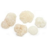 Solar Quartz Crystal Druzy Halbkristall Sammler Edelsteine Und Mineralien von RockParadise