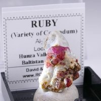 Ruby Miniatur - Hunza Tal, Pakistan | 21 X 14 11 Mm Perky Box #rs Ruby Miniatur - Hunza Tal, Pakistan | 21 X 14 11 Mm Perky Box #rs von RockShopCZ