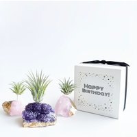 Amethyst & Rosenquarz Luftpflanzenhalter Geburtstagsgeschenkbox von Rocknair