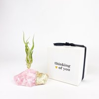 Gold Getaucht Rosenquarz Luftpflanzenhalter Geschenk - Denken An Sie, Beileid Gold Getaucht Rosenquarz Luftpflanzenhalter Geschenk - Denken An Sie, Beileid von Rocknair