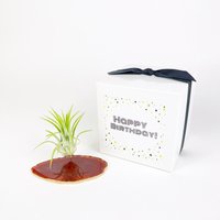 Geburtstagsgeschenk Aus Roter Achatscheibe - Einzigartiger Luftpflanzenhalter Für Zuhause von Rocknair