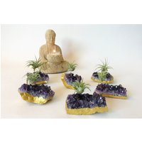 Lila Amethyst Geode Gold Getaucht Luftpflanzenhalter Boho Oder Zen Home Decor von Rocknair