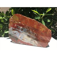 Regenbogen-Versteinertes Holz Platte Regenbogen-Versteinertes Holz Platte von Rockology