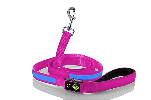 LED Hundeleine 180 cm USB wiederaufladbar Leuchtend wasserdicht - Ergänzung für alle Leuchthalsbänder - Kleine und Große Hunde (Pink) von Rockro