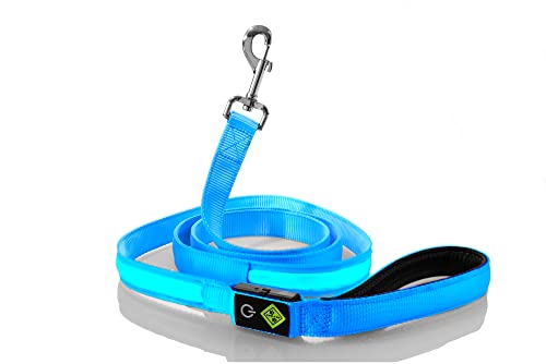 Rockro LED Hundeleine 180 cm USB wiederaufladbar Leuchtend wasserdicht - Perfekte Ergänzung für alle Leuchthalsbänder - Kleine und Große Hunde (Blau) von Rockro