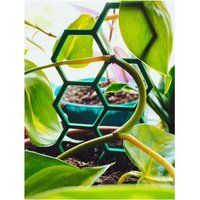 Topfpflanze Mini-Rankgitter Paar/2 Sechseck Pflanzenstützen 3D Gedruckt X Wabengitter Topfpflanze Mini-Rankgitter Paar/2 Sechseck Pflanzenstützen 3D Gedruckt X Wabengitter von RockwellExchange