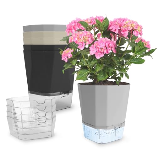 Rodison 6 Stück Selbstbewässerungstopf - 15.2cm Kunststoff Blumentopf Selbstbewässernd mit Selbstbewässerung und Wasserspeicher, Kräutertopf für Innen-/Außenpflanzen, Kräuter, Sukkulenten von Rodison