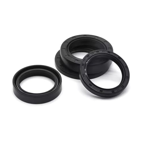2 Stück NBR-Gummi-Öldichtung, Innendurchmesser 25 mm, Außendurchmesser 42 mm, TC-Wellenlippendichtung mit Feder,TC-25x42x10mm von Rodsah