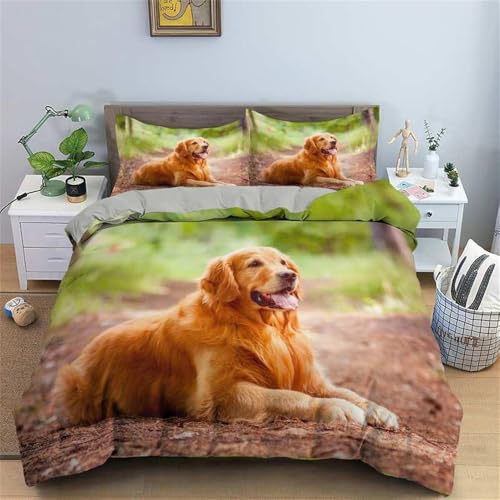 Rodths Bettwäsche 135x200 Golden Retriever Bettbezug 135 x 200 2er Set, Weiche Microfaser Deckenbezug mit ReißVerschluss, 1 Kissenbezug 80x80 cm, Bügelfreie Weich Bettdeckenbezug Rodths Bettwäsche 135x200 Golden Retriever Bettbezug 135 x 200 2er Set, Weiche Microfaser Deckenbezug mit ReißVerschluss, 1 Kissenbezug 80x80 cm, Bügelfreie Weich Bettdeckenbezug von Rodths