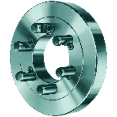 Stahlflansch DIN 55029/KK6 315mm von Röhm