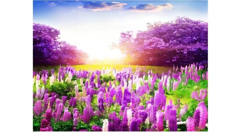 Rötting Design Malen nach Zahlen BASTELIDEE 5d Diamond Painting Set Motiv Blumenwiese in violett von Rötting Design