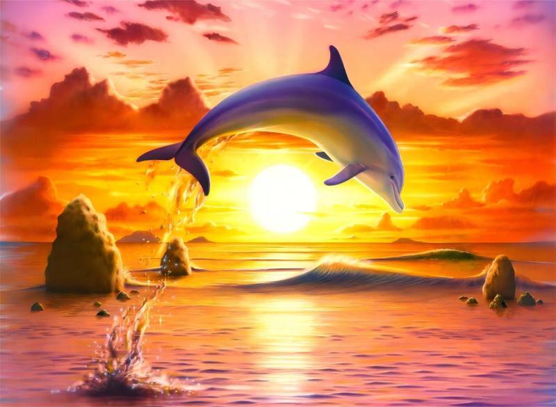 Rötting Design Malen nach Zahlen BASTELIDEE 5d Diamond Painting Set Motiv Delphine im Sonnenuntergang von Rötting Design