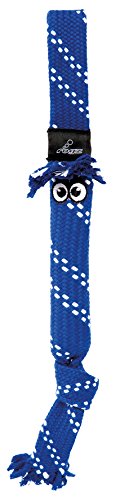 ROGZ SC03-B Scrubz Medium Teeth Cleaning Dog Toy/Hundespielzeug zahnreinigend, M, blau von Rogz