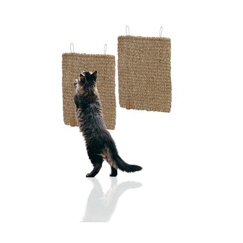 Rohrschneider® Kratzmatte Katze eckig | Kratzbrett | Seegrasmatte | Kratzmatte Katze Wand | Katzen Kratzbrett einzeln oder 2er Set (2-er Set) von Rohrschneider