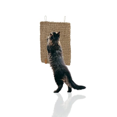 Rohrschneider® Kratzmatte Katze eckig | Kratzbrett | Seegrasmatte | Kratzmatte Katze Wand | Katzen Kratzbrett einzeln oder 2er Set (Einzelartikel) von Rohrschneider