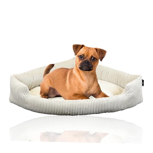 Rohrschneider® XXL Eck-Hundebett für große Hunde | Weiche Hundedecke für Ecke aus Cord | Großes Hundebett für große Hunde oder 2 Hunde| Hundekissen Cord in grossen Größen (2 95x70cm) von Rohrschneider