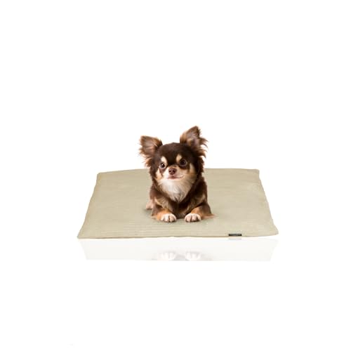 Rohrschneider® Weiches Hundebett mit waschbarem Bezug | Gemütliches Hundekissen aus Cord | Premium Hunde Bettdecke | Hundebett waschbar | Kuscheliges Hunde Kissen von Rohrschneider