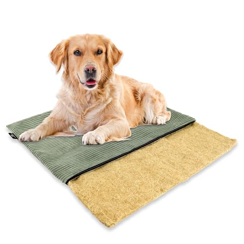 mümmi Hundematte HANF – Hundekissen geruchsbindend, waschbar | Hundedecke allergikerfreundlich | Hundematratze rutschfest | Hundebett Cord (Salbei, Gr. 3 (große Hunde)) von Rohrschneider