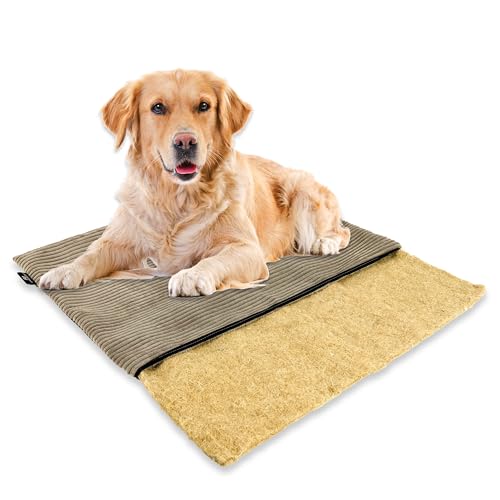 mümmi Hundematte HANF – Hundekissen geruchsbindend, waschbar | Hundedecke allergikerfreundlich | Hundematratze rutschfest | Hundebett Cord (Taupe, Gr. 3 (große Hunde)) von Rohrschneider