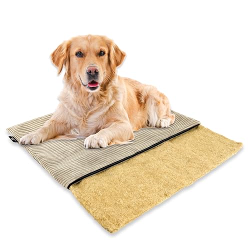 mümmi Hundematte HANF – Hundekissen geruchsbindend, waschbar | Hundedecke allergikerfreundlich | Hundematratze rutschfest | Hundebett Cord (beige, Gr. 2 (mittlere Hunde)) von Rohrschneider