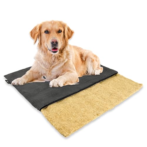 mümmi Hundematte HANF – Hundekissen geruchsbindend, waschbar | Hundedecke allergikerfreundlich | Hundematratze rutschfest | Hundebett Cord (dunkelgrau, Gr. 3 (große Hunde)) von Rohrschneider