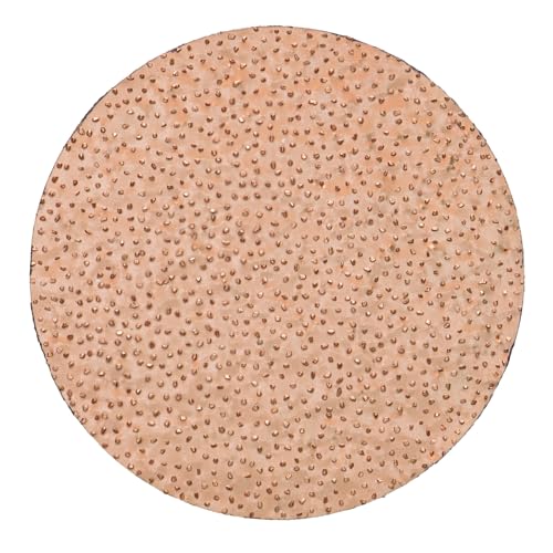 ROKAMAT 2er Pack HMT-Schleifscheibe fein Ø200mm - Zubehörscheibe für ROKAMAT Schleifgerät CHAMELEON von Rokamat