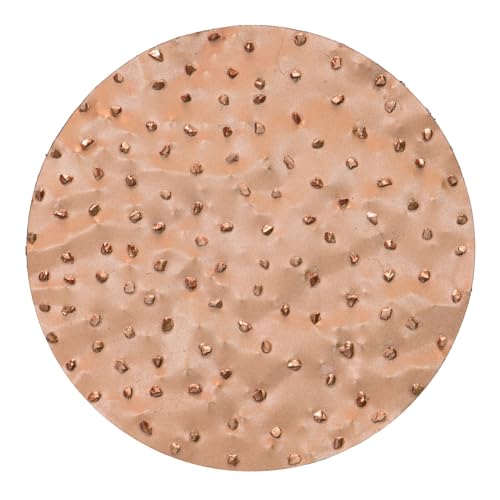 ROKAMAT 2er Pack HMT-Schleifscheibe grob Ø200mm - Zubehörscheibe für ROKAMAT Schleifgerät CHAMELEON von Rokamat