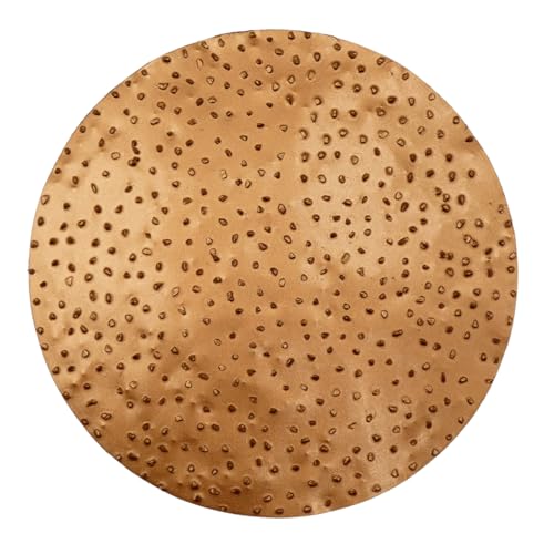 ROKAMAT HMT-Schleifscheibe mittel - Ø225mm - Zubehörscheibe für ROKAMAT Schleifgeräte HERON und GECKO RAPID von Rokamat