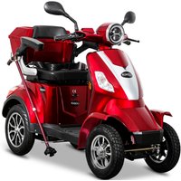 Rolektro Elektromobil "E-Quad 15, Blei-Gel-Akku", 1000 W, 15 km/h, (mit Topcase) von Rolektro