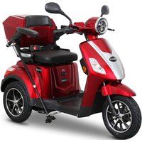 Rolektro Elektromobil "E-Trike 25 V.2, Blei-Gel-Akku", 1000 W, 25 km/h, (mit Topcase) von Rolektro