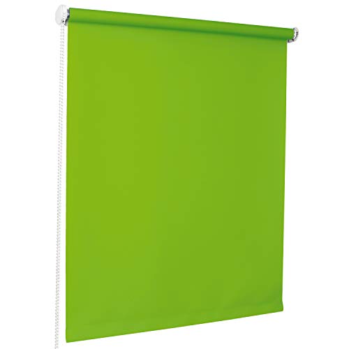 ROLLMAXXX Standard-Rollo Lichtdurchlässig Seitenzug Kettenzugrollo Tageslicht Sichtschutz (150 x 190 cm, Grün) von Rollmaxxx