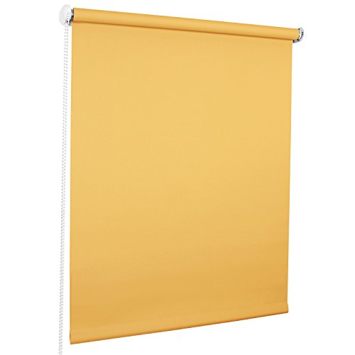 ROLLMAXXX Standard-Rollo Lichtdurchlässig Seitenzug Kettenzugrollo Tageslicht Sichtschutz (60 x 190 cm, Gelb) von Rollmaxxx