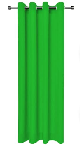 Rollmayer Vorhänge Schal mit Ösen Kollektion Vivid (Grün 25, 135x150 cm - BxH - 2 er Pack) Blickdicht Uni einfarbig Gardinen Schal für Schlafzimmer Schal von Rollmayer