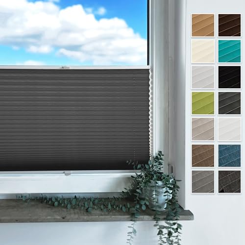 Rollmayer Plissee mit Bohren, Plisseerollo Faltrollo Sichtschutz und Sonnenschutz für Fenster und Tür (Binco Graphit,B135cm x H120cm) von Rollmayer