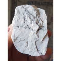 Roher Howlith 1 Pfund Lot Brasilien Roher Howlith 1 Pfund Lot Brasilien von Romanrocksminerals