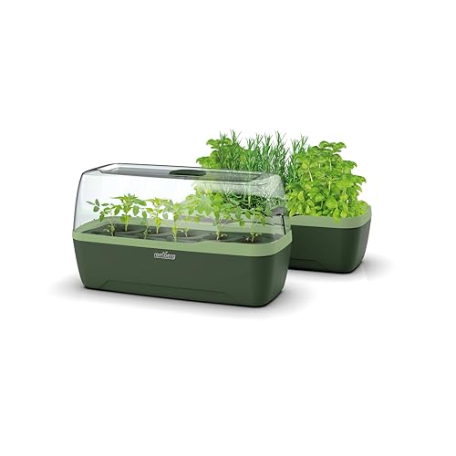 Romberg BoQube Gewächshaus L Green Edition von Romberg