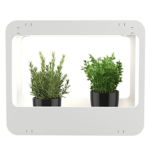 Romberg Homegarden mit LED-Beleuchtung | Zimmergewächshaus | Minigewächshaus | Weiß | 50.5 x 21 x 40 cm von Romberg