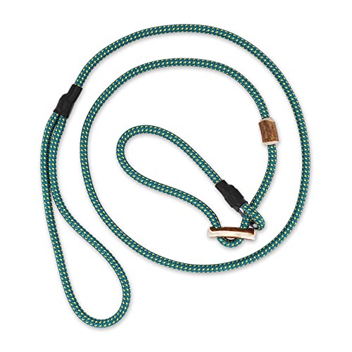 Hundeleine mit Halsband 6mm | Moxonleine Retrieverleine Agilityleine | Mit Zugbegrenzung, Zugstopp aus Hirschhorn | Verschiedene Längen | Verschiedene Farben3 (Türkis, 130 cm) von Romneys