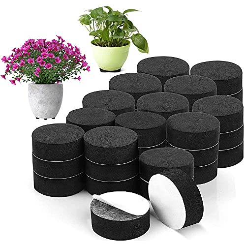 48 Stück Unsichtbarer Blumentopffuß, Unsichtbare Blumentopf Füße Für Pflanzen, Selbstklebende Füße, rutschfeste Füße Für Blumenkübel, Blumentopffüße Für Pflanzen Für Hausgarten Indoor Outdoor 48 Stück Unsichtbarer Blumentopffuß, Unsichtbare Blumentopf Füße Für Pflanzen, Selbstklebende Füße, rutschfeste Füße Für Blumenkübel, Blumentopffüße Für Pflanzen Für Hausgarten Indoor Outdoor von Hachera
