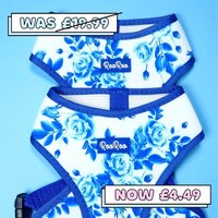 Blaue Rose Blumen Hundewelpen Verstellbares Geschirr | Roo Haustier von RooRooPet
