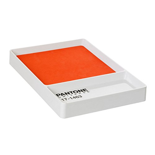 Pantone Key Tray Ablagefach, Tangerine Tango 17-1463 von Room Copenhagen