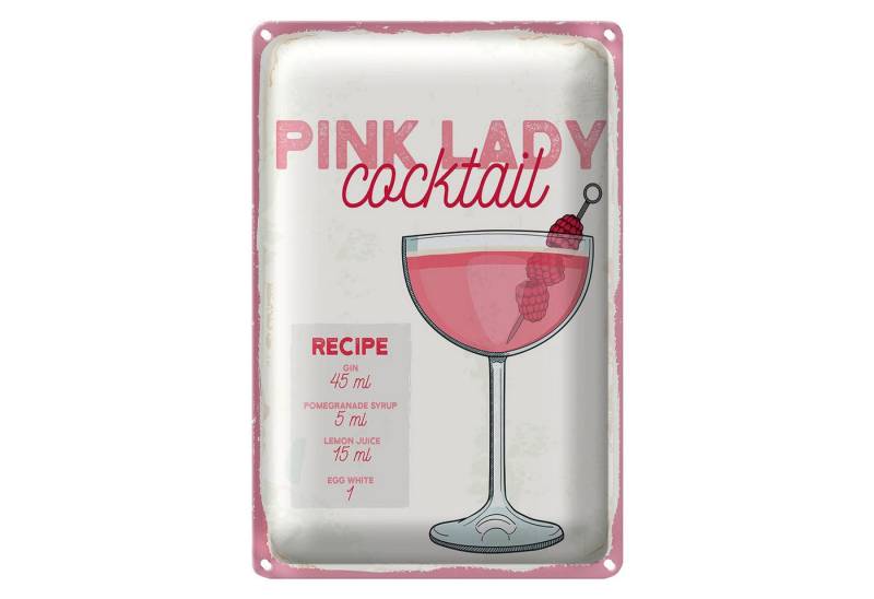Roomando Metallschild Rezept Pink Lady Cocktail Recipe 12x18cm von Roomando