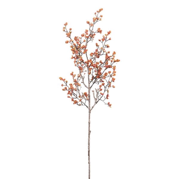Roomio Beerenzweig JASCHA Höhe ca. 70 cm in Fb. orange Roomio Beerenzweig JASCHA Höhe ca. 70 cm in Fb. orange von Roomio