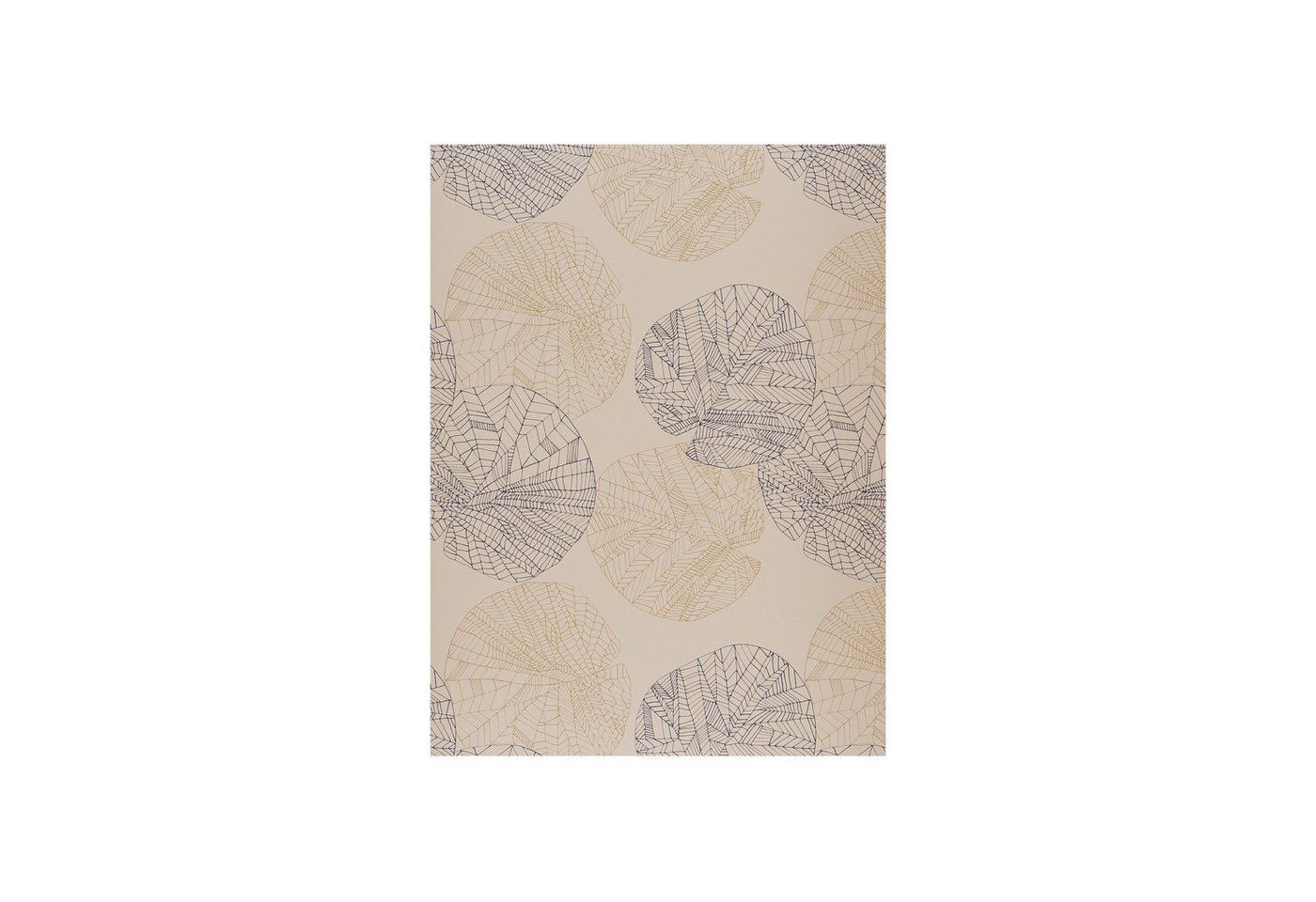 Roomy Fensterfolie Fensterfolie Roomy Fensterfolie Fensterfolie von Roomy